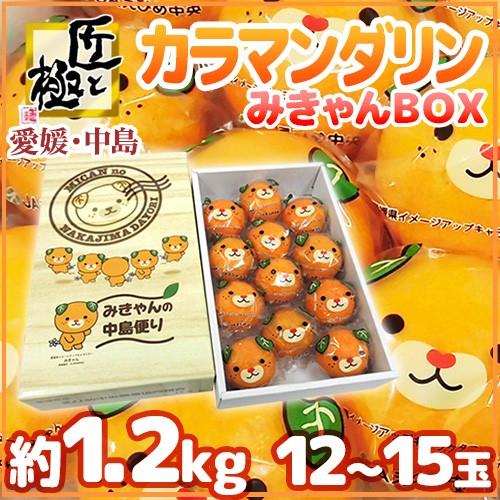 愛媛産 &rdquo;匠と極 カラマンダリン&rdquo; 12〜15玉 約1.2kg ゆるキャラ「みきゃん」化粧箱【予約 4月下旬以降】 送料無料