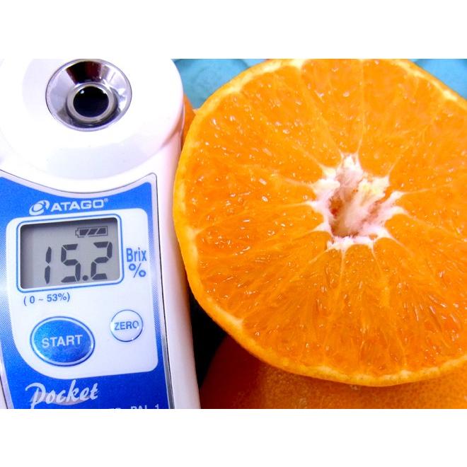 愛媛県中島産 ”甘平” 最高等級 匠と極 2L/3L 約3kg 化粧箱入り【予約 2