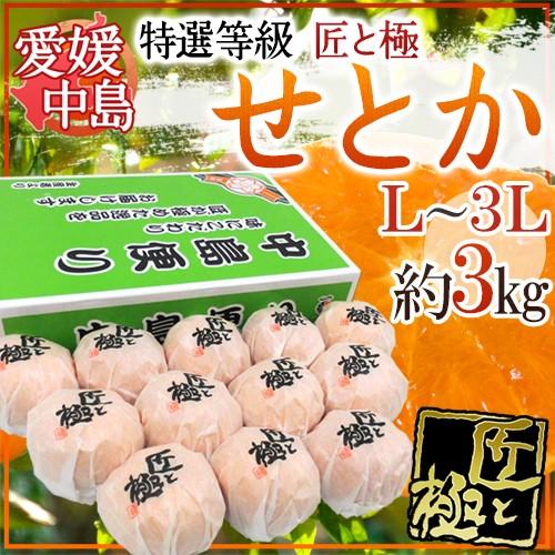 愛媛・中島産 ”中島便り せとか 匠と極” 大玉L/2L/3L 10〜15玉 約3kg