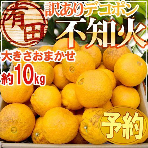 和歌山 有田産 不知火・しらぬい(訳ありデコポン)” 約10kg 和歌山 有田産 不知火・しらぬい(訳ありデコポン)” 約10kg