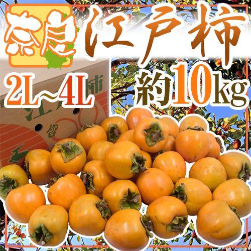 奈良県西吉野 干し柿・吊るし柿用 ”渋柿 江戸柿” 大玉2L〜4L 約10kg