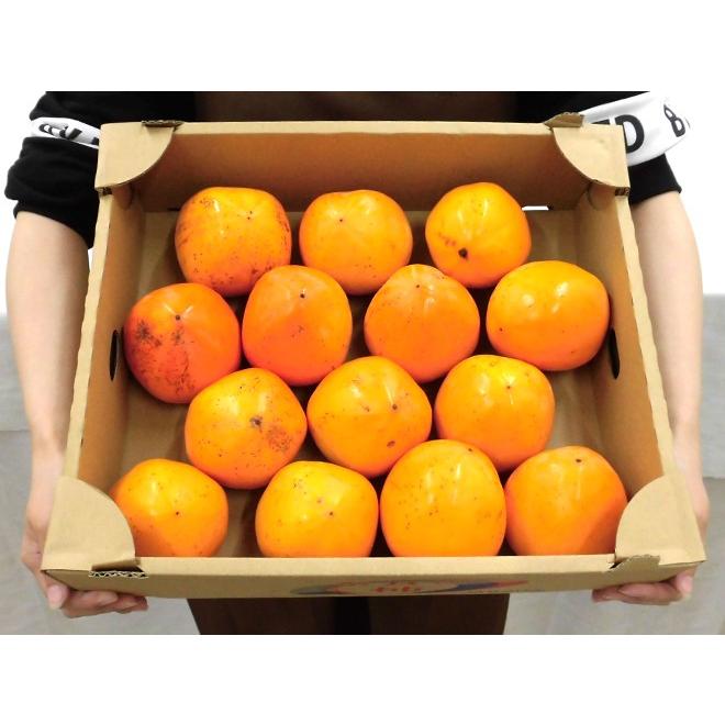 奈良県産 江戸柿 干し柿用 吊るし柿 渋柿 家庭用 干し柿・吊るし柿用