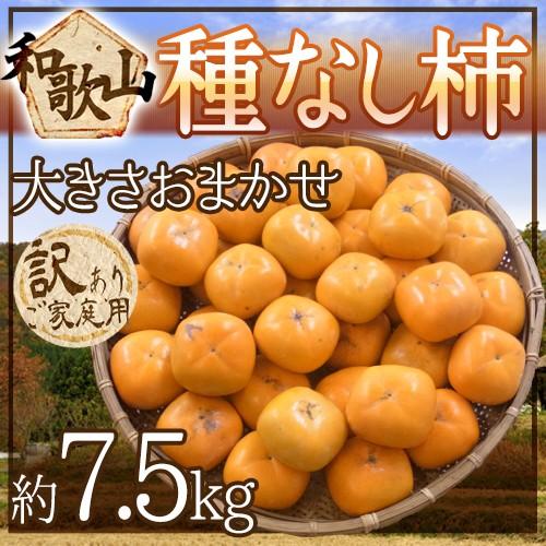 和歌山産 ”たねなし柿” 訳あり 約7.5kg 大きさおまかせ【予約 9月末以降】 送料無料