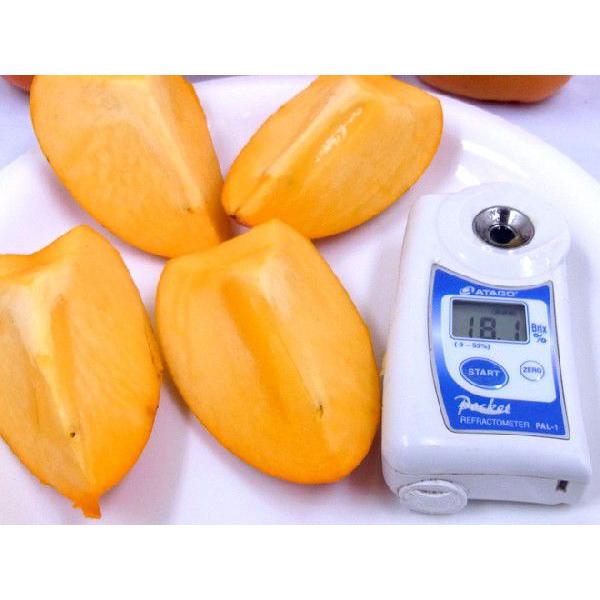愛媛県八幡浜産 ”富士柿” 秀/優品 2L〜4L 6〜8玉前後 約2.5kg【予約 11月以降】 送料無料 :2019038-fuji2kg:くらし快援隊 - 通販 - Yahoo!ショッピング 愛媛県八幡浜産 ”富士柿” 秀/優品 2L〜4L 6〜8玉前後 約2.5kg【予約 11月以降】 送料無料 :2019038-fuji2kg:くらし快援隊 - 通販 - Yahoo!ショッピング