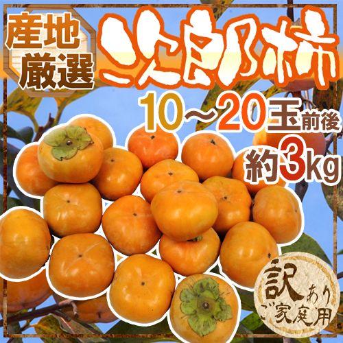 ”次郎柿” 訳あり 約3kg 10〜20玉前後 産地厳選【予約 10月下旬以降】 送料無料 | 