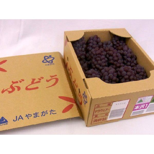 ぶどう 山形産 ”デラウェア” 秀品 10〜15房前後 約2kg【予約 7月下旬以降】 送料無料｜kurashi-kaientai｜03