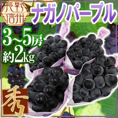 ぶどう 長野産 ”ナガノパープル” 秀品 3〜5房 約2kg ぶどう【予約 9月