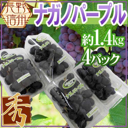 ぶどう 長野産 ”ナガノパープル” 秀品 4pc 約1.4kg パック入り ぶどう【予約 8月末以降】 送料無料