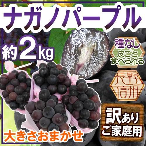 ぶどう 長野産 ”ナガノパープル” 訳あり 約2kg 大きさおまかせ ぶどう