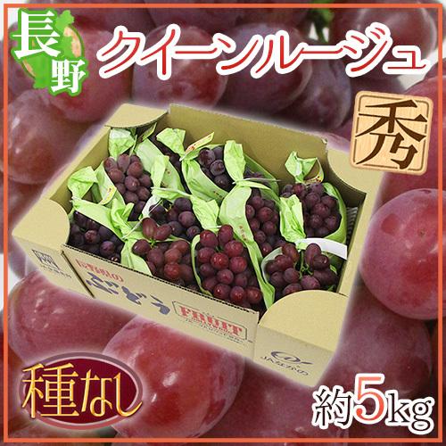 ぶどう 長野県 ”クイーンルージュ” 秀品 約5kg 赤ぶどう【予約 9月中旬
