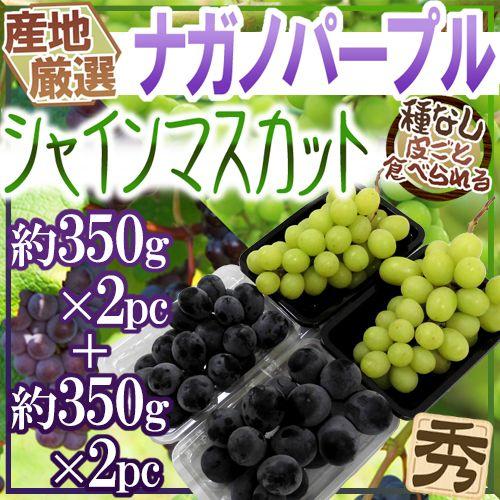 新鮮！朝採れ！即日発送！！シャインマスカット＆ナガノパープル　800g〜1kg ナガノパープル＆シャインマスカット 山梨県産 2房入 2色食べ