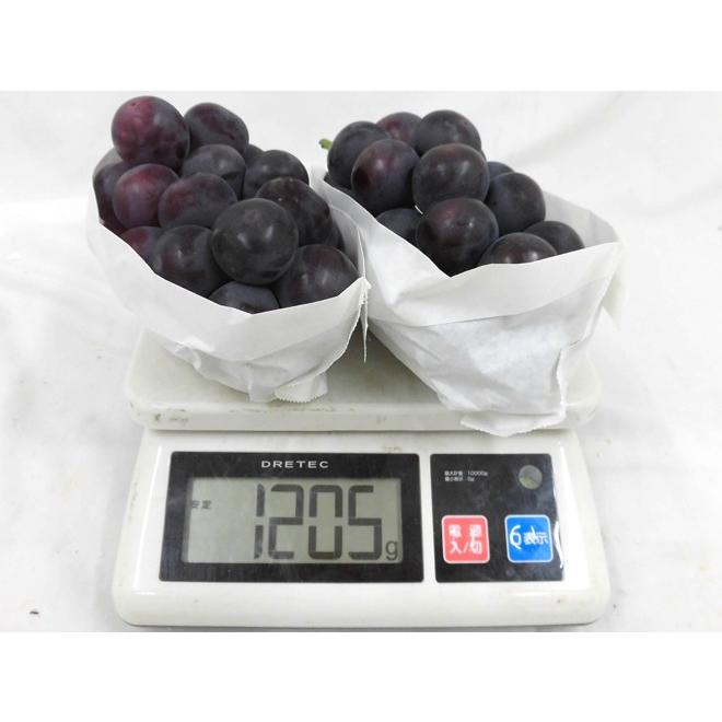 ぶどう ”岡山産 オーロラブラック” 2房 約1kg ちょっと訳あり【予約 7