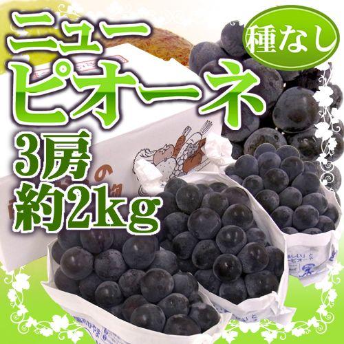 ぶどう 岡山産 種なしぶどう ”ニューピオーネ” 秀品 3房 約2kg【予約 7月下旬以降】 送料無料