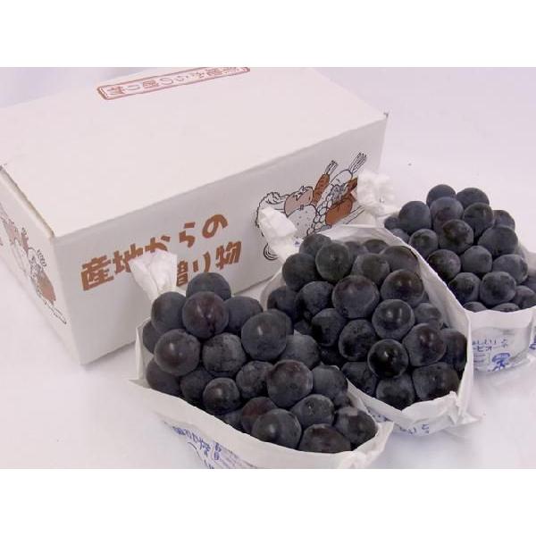 ぶどう 岡山産 種なしぶどう ”ニューピオーネ” 秀品 3房 約2kg【予約 7