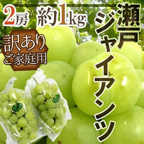ぶどう 岡山産 ”瀬戸ジャイアンツ” 訳あり 2房 約1kg【予約 9月以降