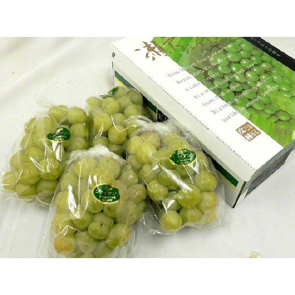 乾燥山ぶどう蔓、2kg セット。　7-065 乾燥山ぶどう蔓2kg セット。 7-014 乾燥山ぶどう蔓2kg セット