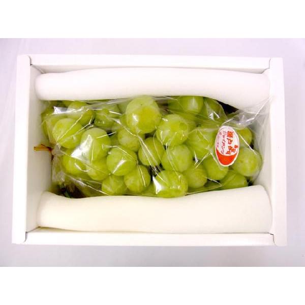 ぶどう 岡山産 ”瀬戸ジャイアンツ” 超大房 1房 約900g〜1kg 化粧