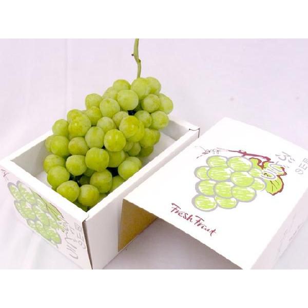 大量入荷のため衝撃価格！！岡山県産【瀬戸ジャイアンツ】秀品　6〜8房 5kg！！ ぶどう 岡山産 ”瀬戸ジャイアンツ” 大房約600g〜750g ぶどう