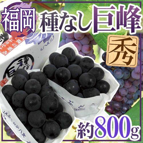 ぶどう ”福岡産 種なし巨峰” 秀品 2〜3房 約800g 化粧箱 ぶどう【予約