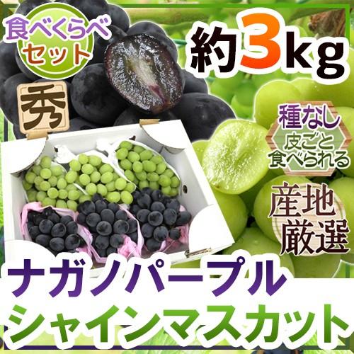 シャインマスカット＆ナガノパープル” 秀品 合計約3kg 産地厳選