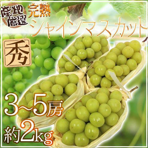 完熟シャインマスカット” 秀品 3〜5房 約2kg 産地厳選【予約 8月末以降