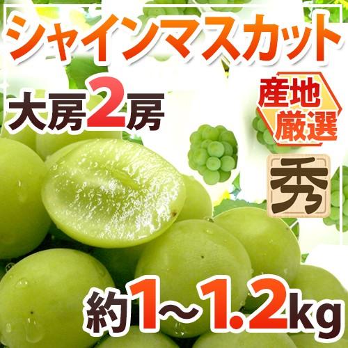 シャインマスカット” 秀品 大房限定 2房 約1〜1.2kg以上 産地厳選[B2