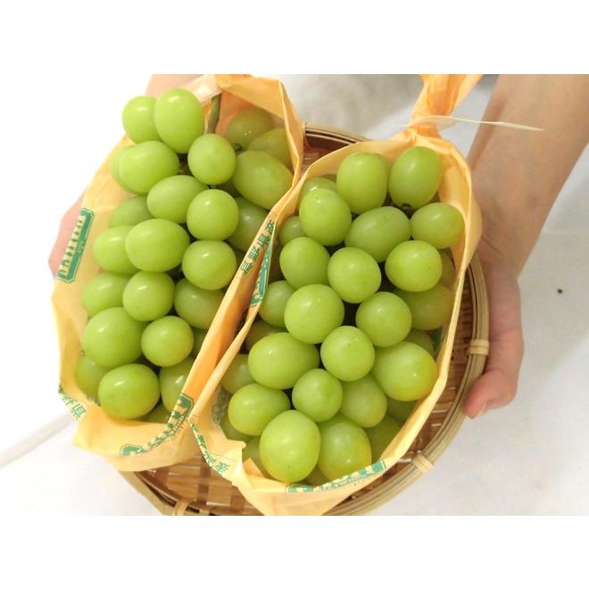 早期発送！プレミアム ”温室シャインマスカット” 秀品 2房 約1kg