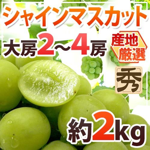 シャインマスカット” 秀品 大房限定 2〜4房 約2kg 産地厳選[M2]【予約