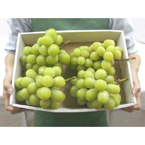 訳ありシャインマスカット‼️2キロ以上 シャインマスカット” ちょっと訳あり 約2kg以上 大きさおまかせ 産地