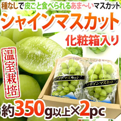 【温室】秀品シャインマスカット 温室シャインマスカット” 秀品 約350g以上×《2pc》 化粧箱入り 産地