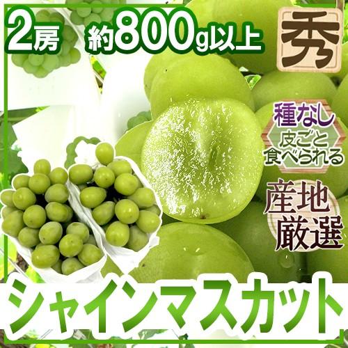 シャインマスカット” 秀品 2房 約800g以上 産地厳選【予約 8月