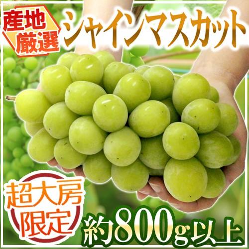 シャインマスカット” 秀品 超大房 約800g以上 産地厳選【予約 8月下旬