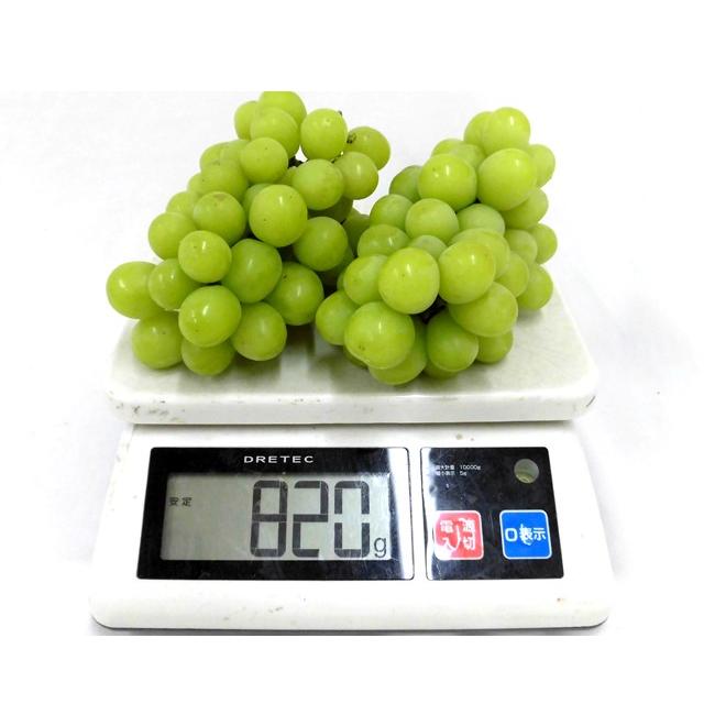 早期発送！プレミアム ”温室シャインマスカット” 秀品 2房 約800g 産地