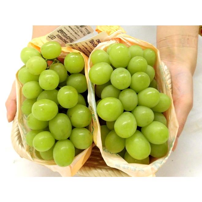 早期発送！プレミアム ”温室シャインマスカット” 秀品 2房 約1kg 