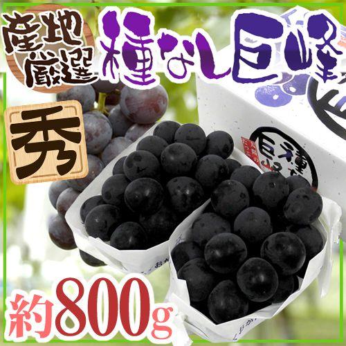 ぶどう ”種なし巨峰” 秀品 約800g 化粧箱 産地厳選【予約 7月以降