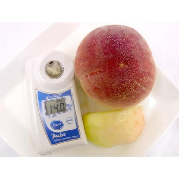 山梨の甘い桃　お手頃サイズ（大玉）を2キロ箱に6個詰め発送　限定数箱　今だけ ☆桃EX 6個 ○山梨の高級桃○大玉○糖度13度以上○約2kg