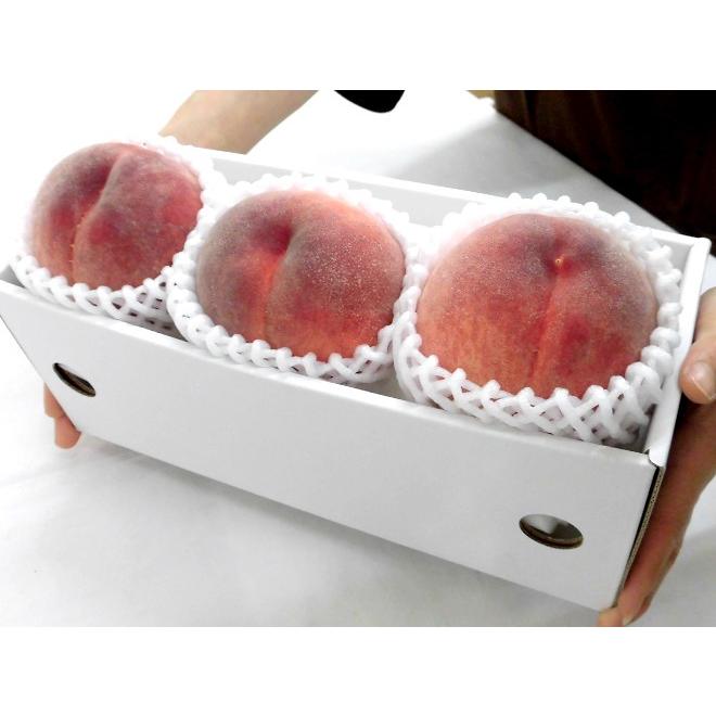 人気特価 山梨県産 特選桃 ”かのいわのぴ〜一番” 3玉 約900g×《2箱》 特秀品 信玄等級 糖度13度以上保証 予約 7月以降 送料無料 klvbuilder.com 人気特価 山梨県産 特選桃 ”かのいわのぴ〜一番” 3玉 約900g×《2箱》 特秀品 信玄等級 糖度13度以上保証 予約 7月以降 送料無料 klvbuilder.com