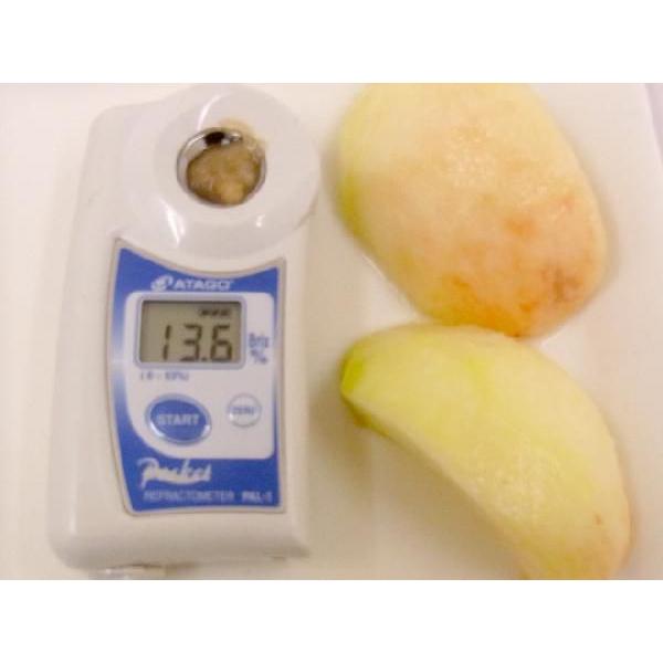 和歌山県産 ”あら川の桃” 11〜15玉 約4kg 白鳳系 化粧箱【予約 7月以降】 送料無料_5