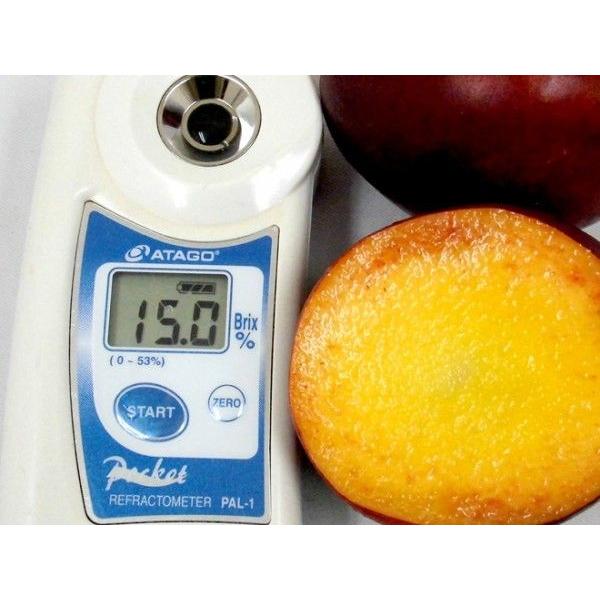 ネクタリン 加工用 現物2枚目以降 約11キロ 食品 ネクタリン 加工用 現物2枚目以降 約11キロ