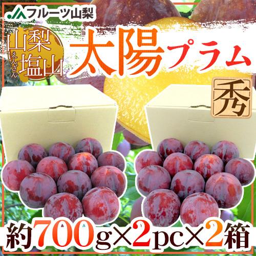 山梨 塩山産 ”太陽プラム《2箱》” 秀品（1箱あたり12玉前後 約1.4kg