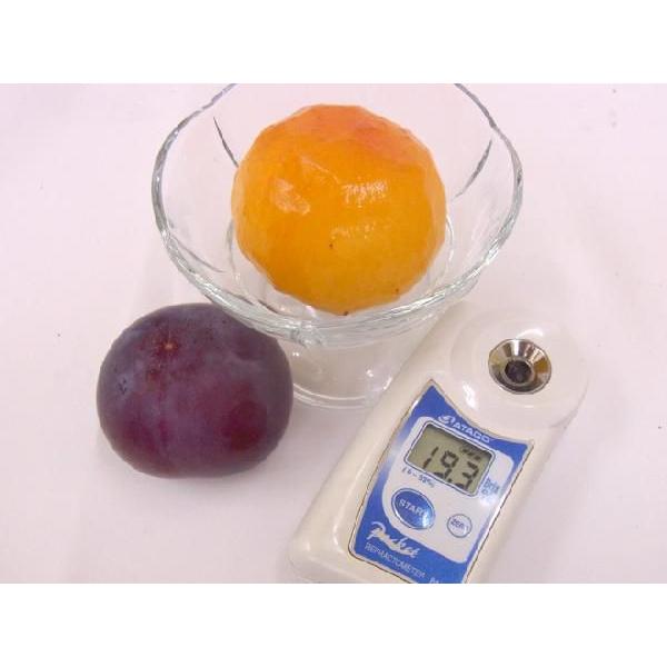 山梨・長野産 ”貴陽プラム” 特大6〜8玉 約2kg(風袋込) 化粧箱【予約 7月以降】 送料無料|kurashi-kaientai|02