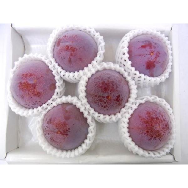 山梨・長野産 ”貴陽プラム” 特大6〜8玉 約2kg(風袋込) 化粧箱【予約 7月以降】 送料無料|kurashi-kaientai|05