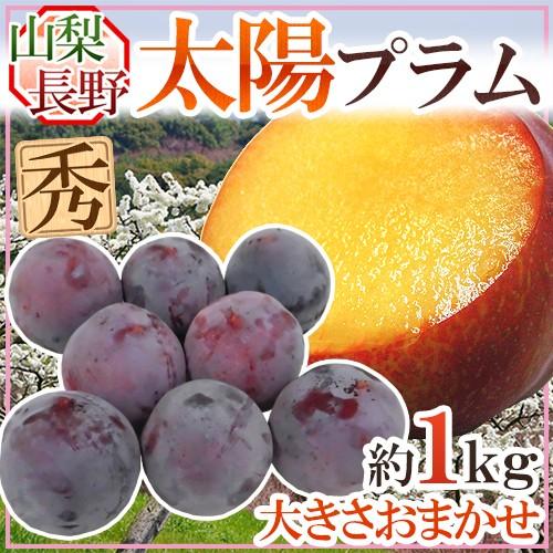 山梨・長野産 ”太陽プラム” 秀品 約1kg 大きさおまかせ すもも【予約 8 