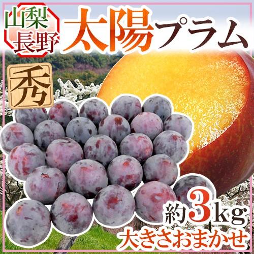 山梨・長野産 ”太陽プラム” 秀品 約3kg 大きさおまかせ すもも【予約 8
