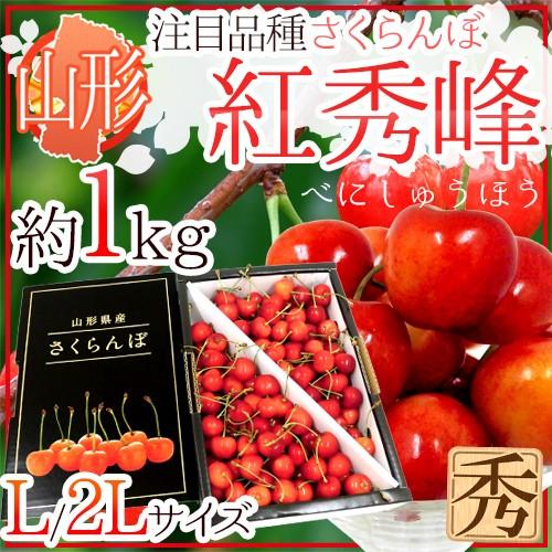 山形産 さくらんぼ ”紅秀峰（べにしゅうほう）” 秀品 大粒 L/2Lサイズ 約1kg【予約 6月末以降】 送料無料