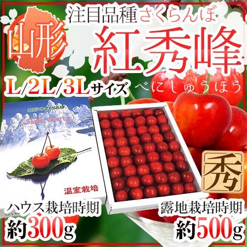山形産 さくらんぼ ”紅秀峰” L/2L/3Lサイズ 秀品 化粧箱 手詰め ハウス栽培時期：約300g 露地栽培時期：約500g【予約 6月末以降】 送料無料
