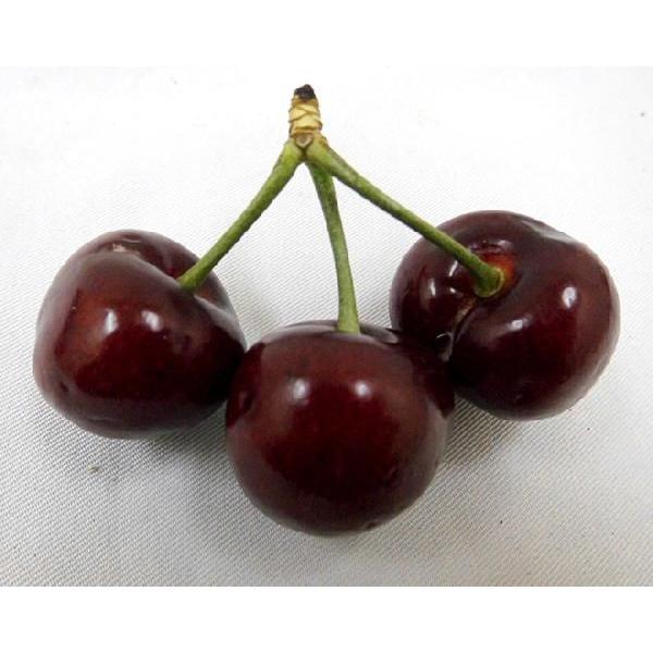 アメリカ産 ”アメリカンチェリー” 特大 約1kg【予約 5月下旬以降
