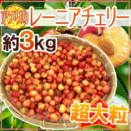 ”アメリカ産 レーニアチェリー” 超大粒 約3kg さくらんぼ【予約 6月下旬以降】 送料無料