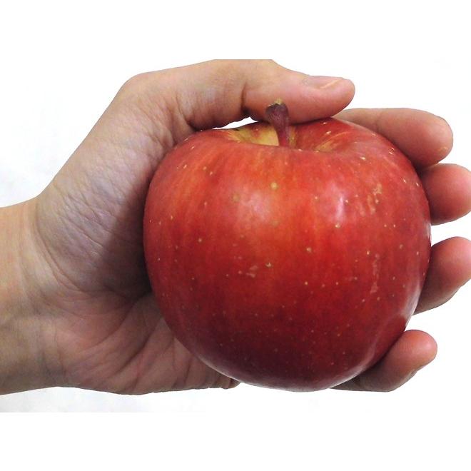 りんご 青森県 蜜だらけりんご ”こみつ” 訳あり 大きさおまかせ 約2kg こうとくりんご【予約 12月以降】 送料無料  :2024002-komitsu2kgbw:くらし快援隊 - 通販 - Yahoo!ショッピング