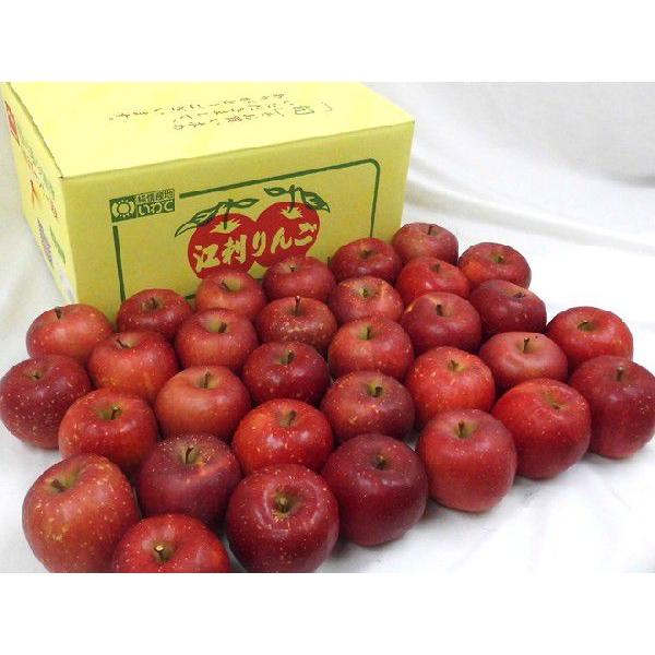 りんご 岩手江刺産 ”蜜入りサンふじ” 秀品 24〜36玉 約10kg【予約 11